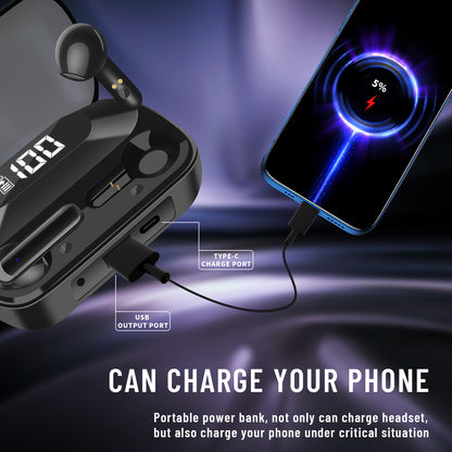 Power Bank Earbuds